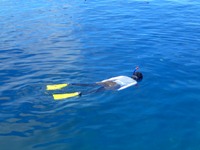 シュノーケリング